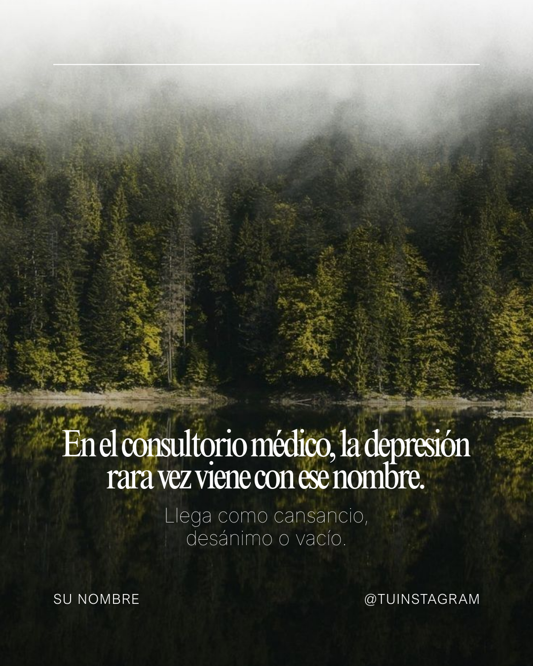 Espanhol (14)