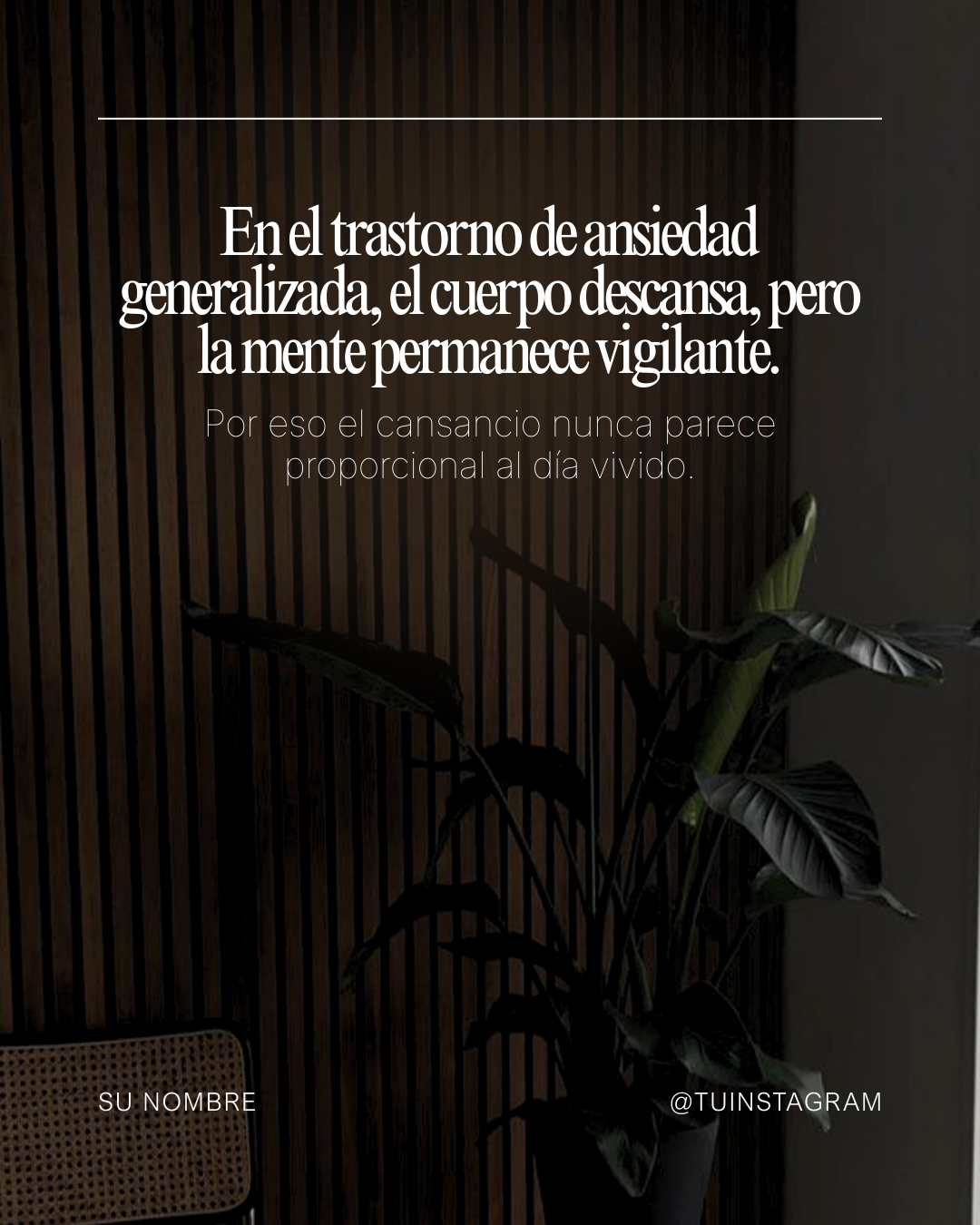 Espanhol (3)