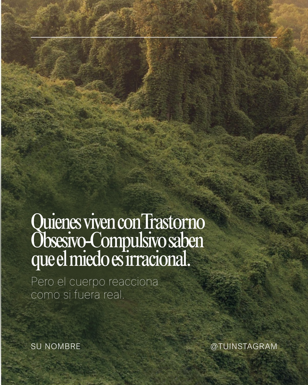 Espanhol (5)
